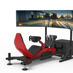 F1 Racing Motion Simulator